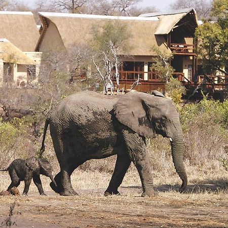 Elephant Plains Game Lodge Sabi Sand Game Reserve Luaran gambar
