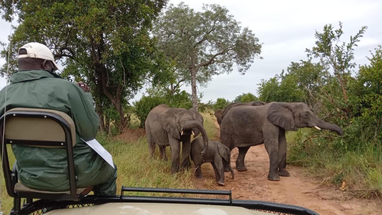 Elephant Plains Game Lodge Sabi Sand Game Reserve Luaran gambar