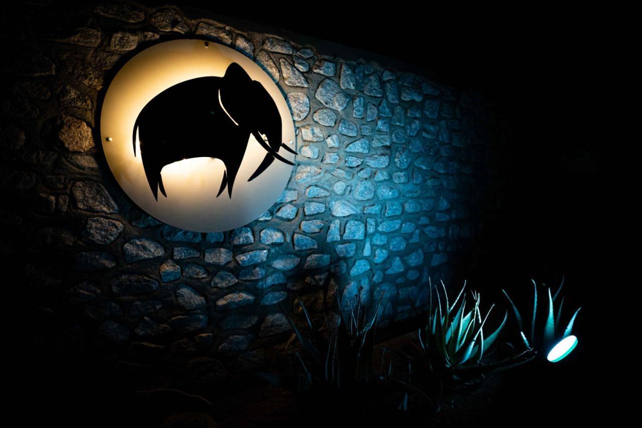 Elephant Plains Game Lodge Sabi Sand Game Reserve Luaran gambar