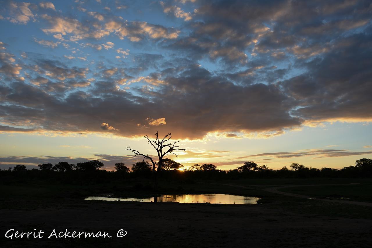 Elephant Plains Game Lodge Sabi Sand Game Reserve Luaran gambar